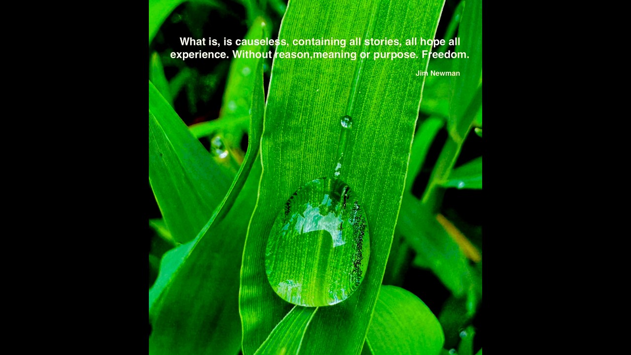 Jim Newman | Non Duality | Zoom July 2025