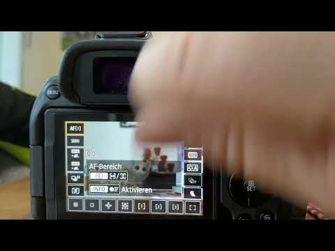 Unterschiede beim Umgang mit dem Tieraugenfokus und der Tiererkennung zwischen R7 und R6 II.