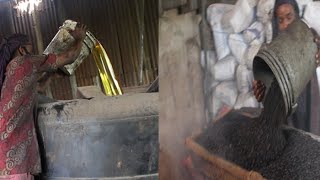 Palm kernel mini oil mill processing in Nigeria
