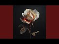 Zu Viele Love Songs