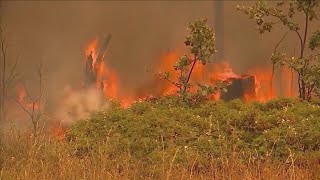 Weather Wednesday: Smoky air quality and back to school smog