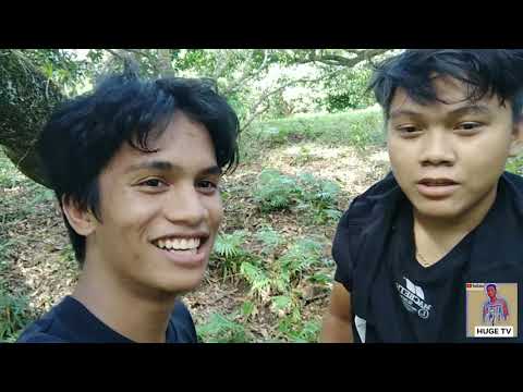 Bonsai Hunting (part 1) | HUGE HUNTING