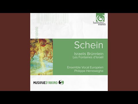 Israelis Brünnlein, S 1385: Ich freue mich im Herren