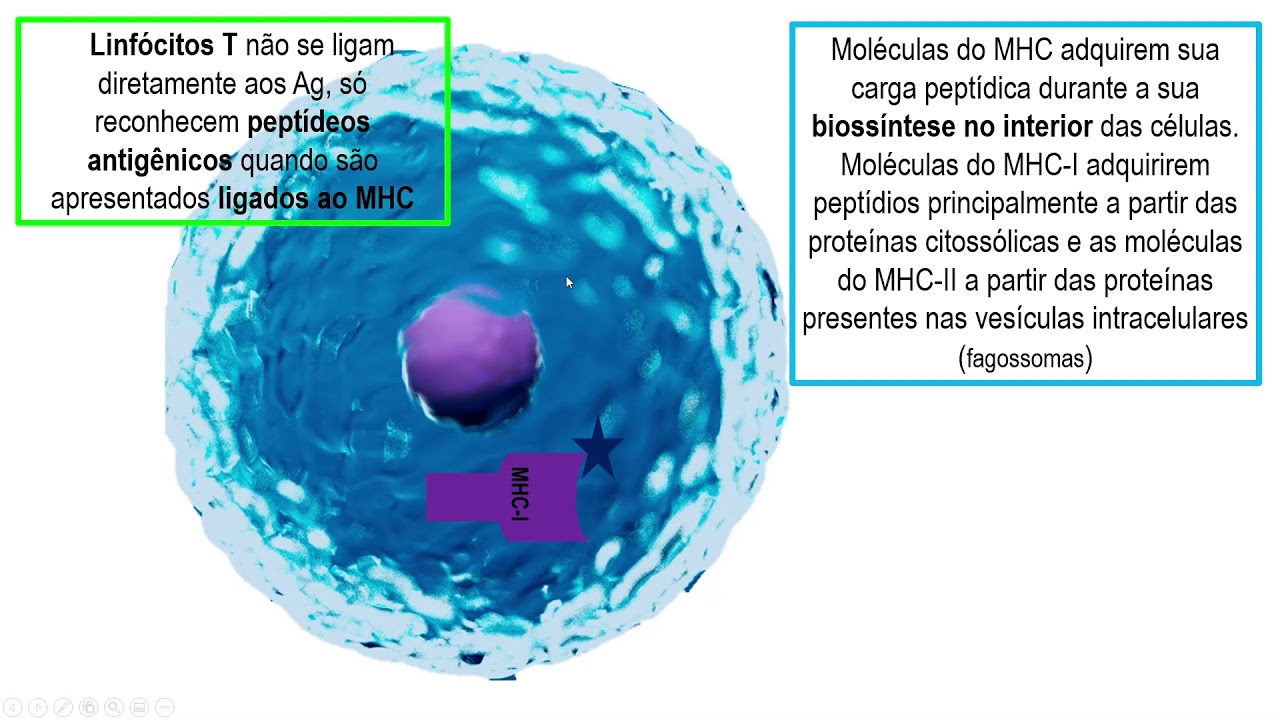 RESPOSTA IMUNE ADAPTATIVA CELULAR