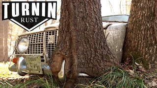 FULL RESCUE: Abandoned SAAB Cut From 40-Year-Old Trees | Will It Run Decades Later? | Turnin Rust
