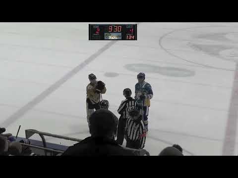 Yann Sauve hits Danick Gauthier - Sauve vs Stockton EIHL fight 24-2-18