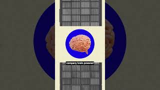 The Future of AI? One Company Brain