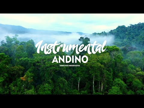 Instrumental Andino - Andinos del Perú /Lanzamiento Primicia 2024