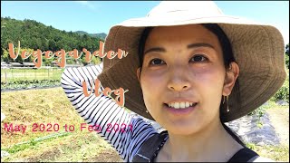 【基本植えっぱなし】家庭菜園Vlog 2020年5月〜2021年2月
