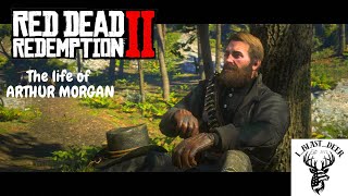 Red Dead Redemption 2 Chapter 6 Episode 2