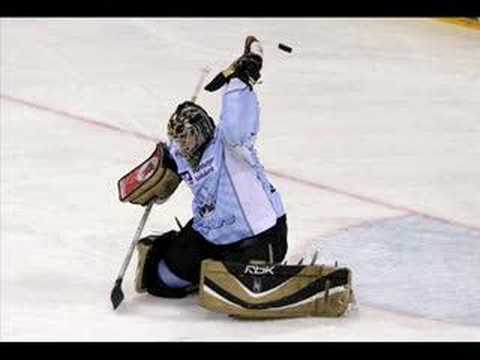 hamburg freezers new song