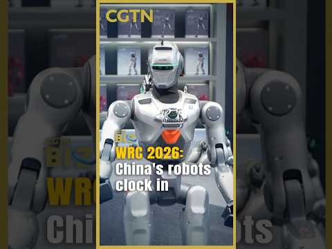Chinese robots race to find their place in the real world