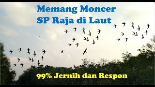 Download lagu SP Raja di Laut By Sufar Sinar... mp3