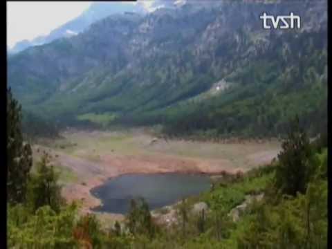 Historia e sotmja ne Plavë Guci