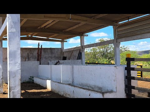 Fazenda á venda em Jataúba-PE, medindo 155 hectares, Valor R$ 599.000,00.