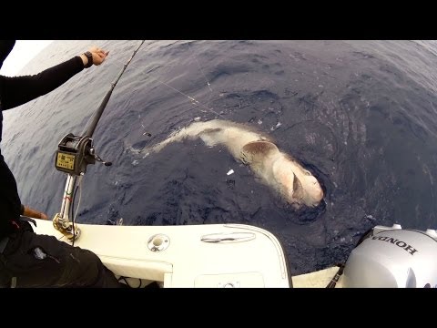 Cattura di Squalo in profondità.