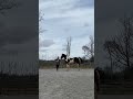 Hidden Cave Enigma Groundwork Part 2 Hiddencaveranch
