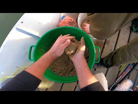 Pecanje na plovak - Sava bolonjez  skobalj i haringa/drinski keder