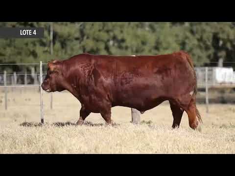 RUBETA TITAN 8414 - Próximo remate de Cabaña La Rubeta – Sábado 13 de Agosto