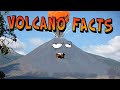 Volcano Facts!