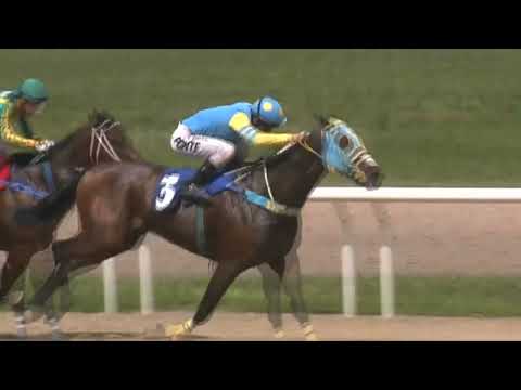 CARRERAS SINT  220929 c03- 1° TE QUIERO GUAPO (ARG)