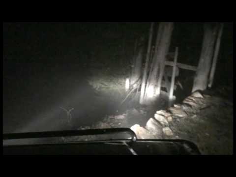 Off Road @ Muntele Rece - 01.01.2010