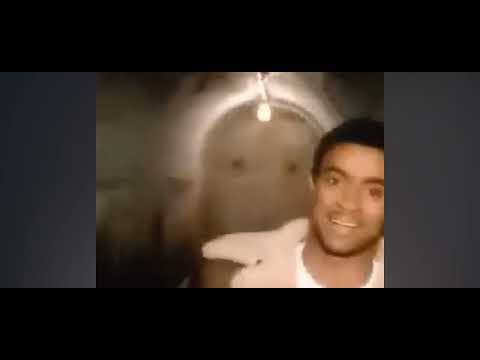 The Train is Coming Now Shaggy Feat Ken Booth [Money Train, 1995]