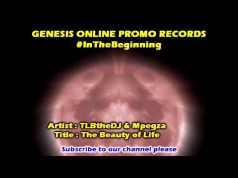 TLBtheDJ & Mpegza - The Beauty of Life