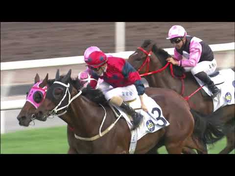 25/6/2022 (778) The Golden Scenery - L Ferraris