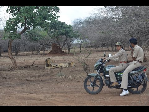 The Lion Queens/ Full Film/  Ep 3