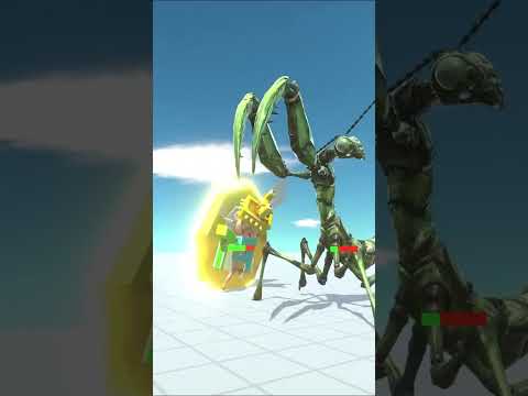 ARBS Shorts｜ Giant Praying Mantis vs Crypto Bro