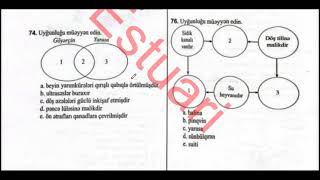 Məməlilər sinfi (51-76) | Quşlar və Məməlilər | Biologiya DİM test toplusu 2025