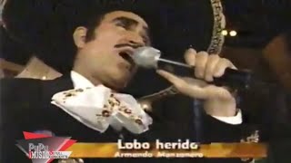 Lobo Herido - Vicente Fernández (EN VIVO)