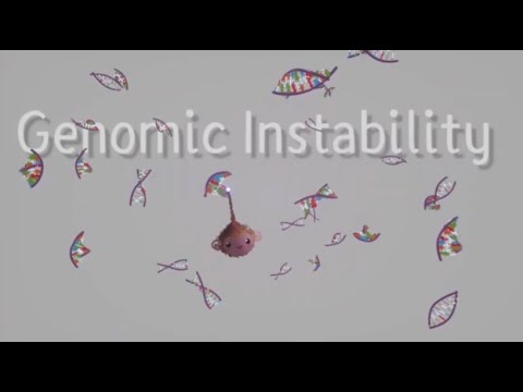 Genomic Instability