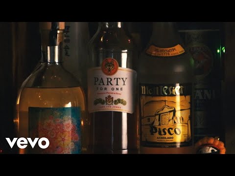 Mamas Gun - Party For One (Official Video)