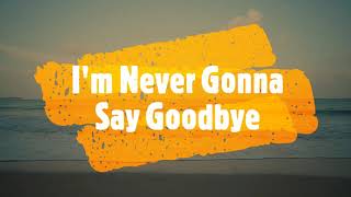 I&#39;m Never Gonna Say Goodbye - Billy Preston (Lyrics)