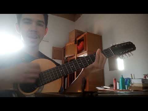 Zé Antônio de Goiás - Empreitada Perigosa - Voz e Viola em casa
