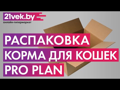 Миниатюра изображения товара Сухой корм для кошек Pro Plan Delicate Adult с индейкой и рисом (10кг)