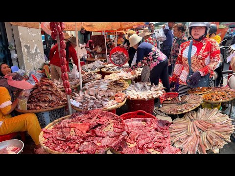 Best Dry Fish Market In Cambodia - Plenty Dry Fish, Dry Buffalo, Dry Beef, Dry Frog & More @Kilo 9