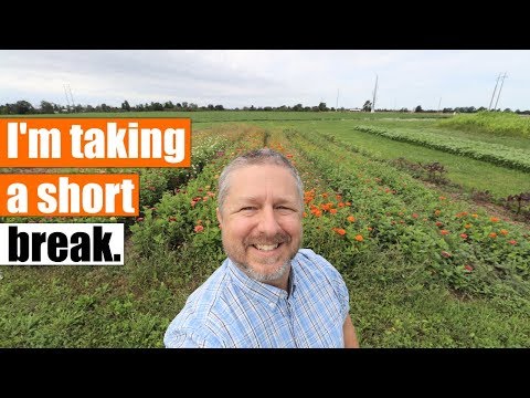 I'm taking a short break. English lessons will resume on September 3!