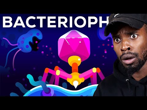 DuckyDee Reacts To The Deadliest Being On Planet Earth