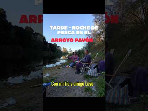 El Arroyo Pavón NUNCA falla: Pesca nocturna 🌙