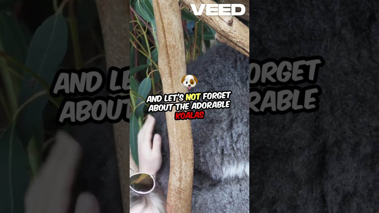 Cuddly Creatures  Fluffiest Animals Revealed!