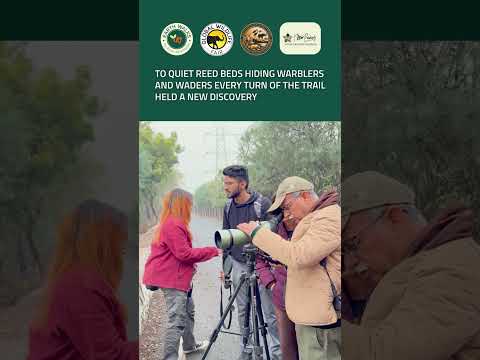 Slow Sundays in the Wetlands | Birding with Uttar Pradesh Earth Walks