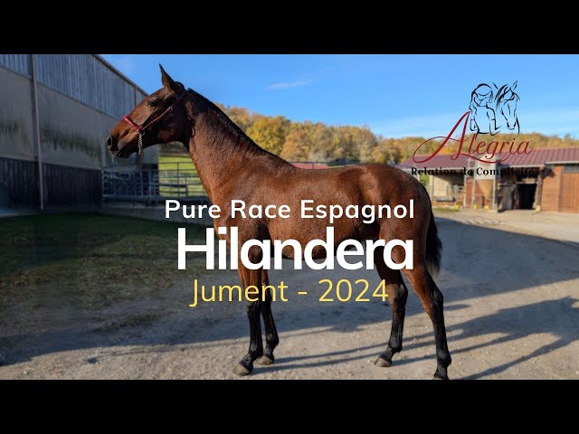 Hilandera Soto Gil,  pos&eacute;e  et r&eacute;fl&eacute;chie.