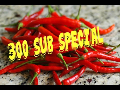 300 SUB SPECIAL! - Chili