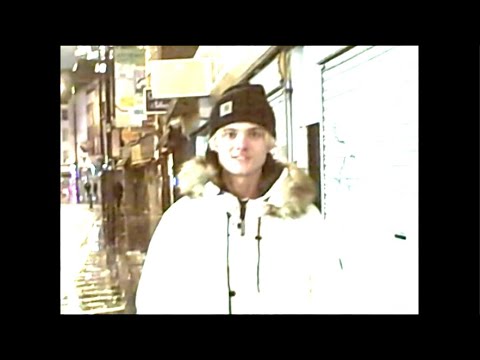 Video thumbnail for Bird Violence