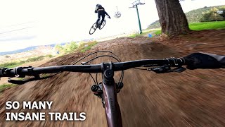 EPIC Mountain Biking at Skyline Rotorua - Insane Trails and Huge Jumps!