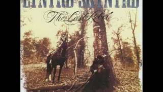 Lynyrd Skynyrd - The last rebel (Album version and lyrics)