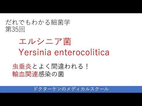 医療細菌学 - 定義